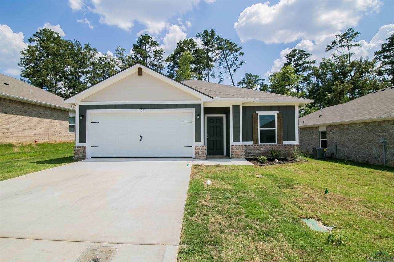 1131 Mission Creek Dr - Photo 1