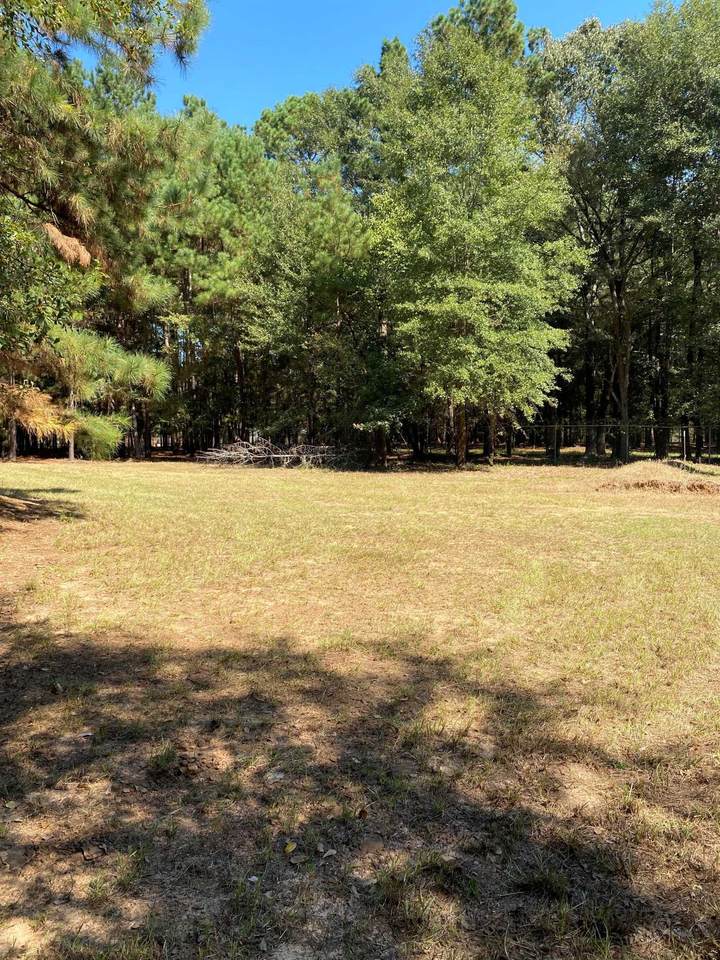 TBD Lot 2 Brent Rd - Photo 1
