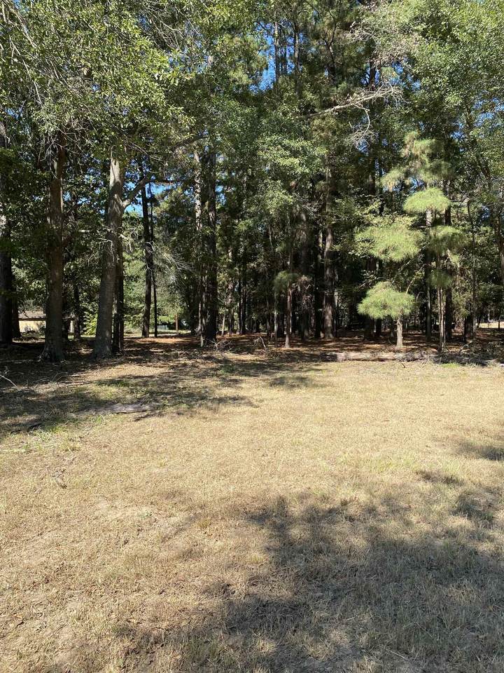TBD Lot 3 Brent Rd - Photo 1