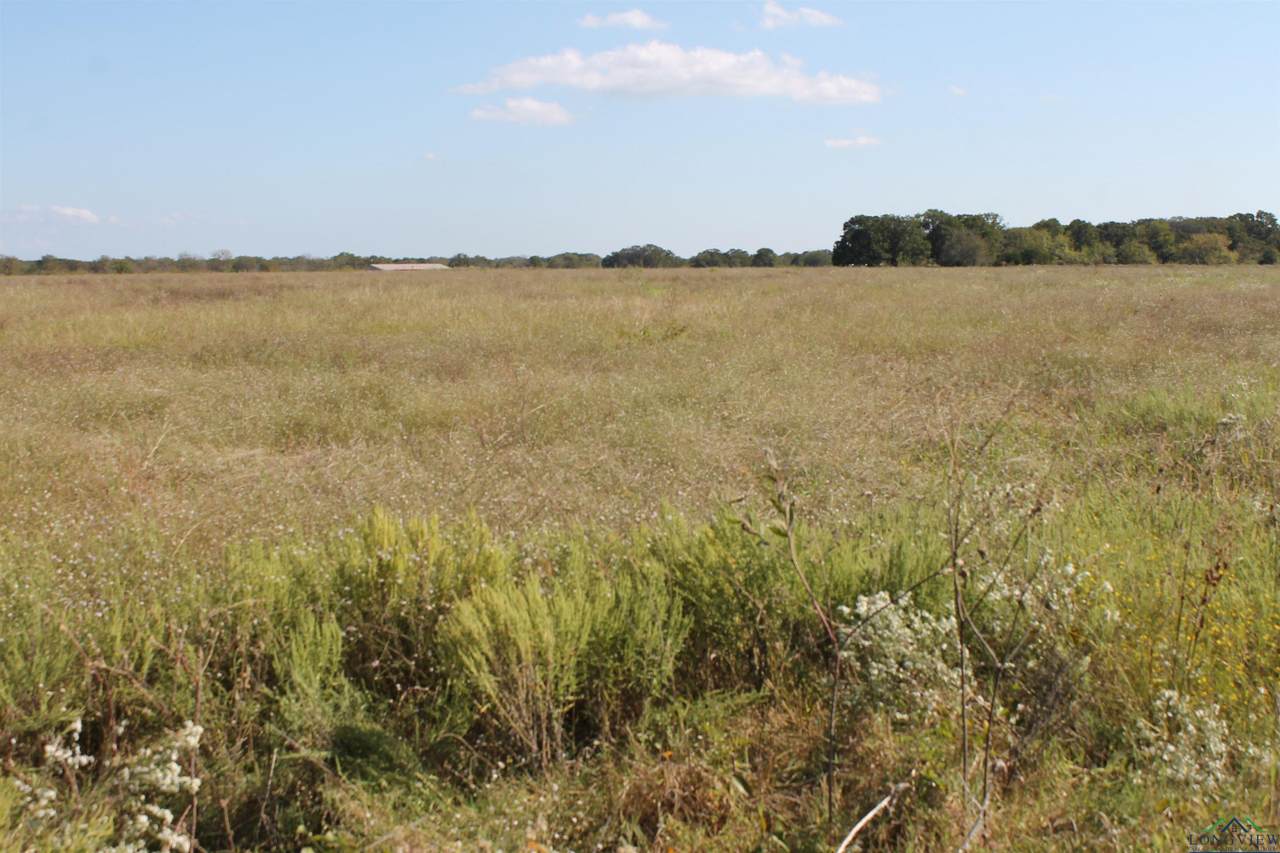 2540 Cedar Creek Parkway Lot 3 - Photo 1
