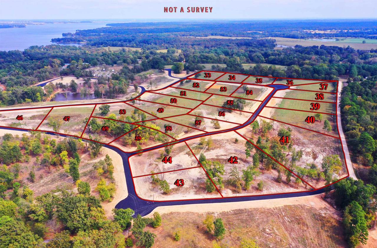 tbd Lot 57 Southshore - Photo 1