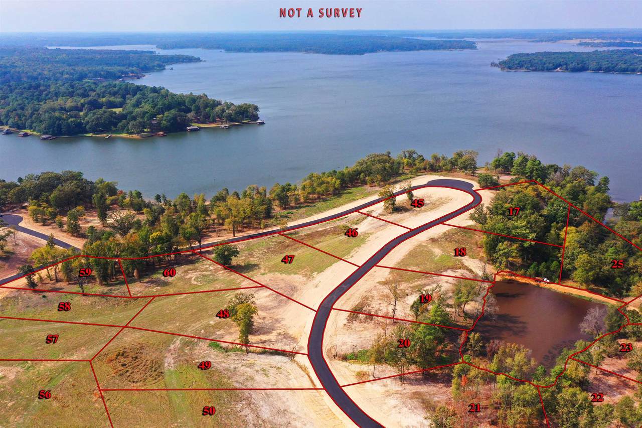 tbd Lot 49 Southshores - Photo 1