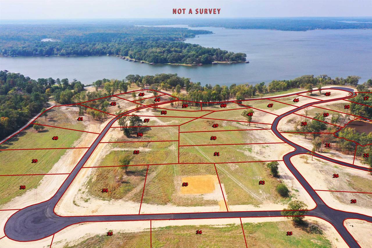tbd Lot 56 Southshores - Photo 1