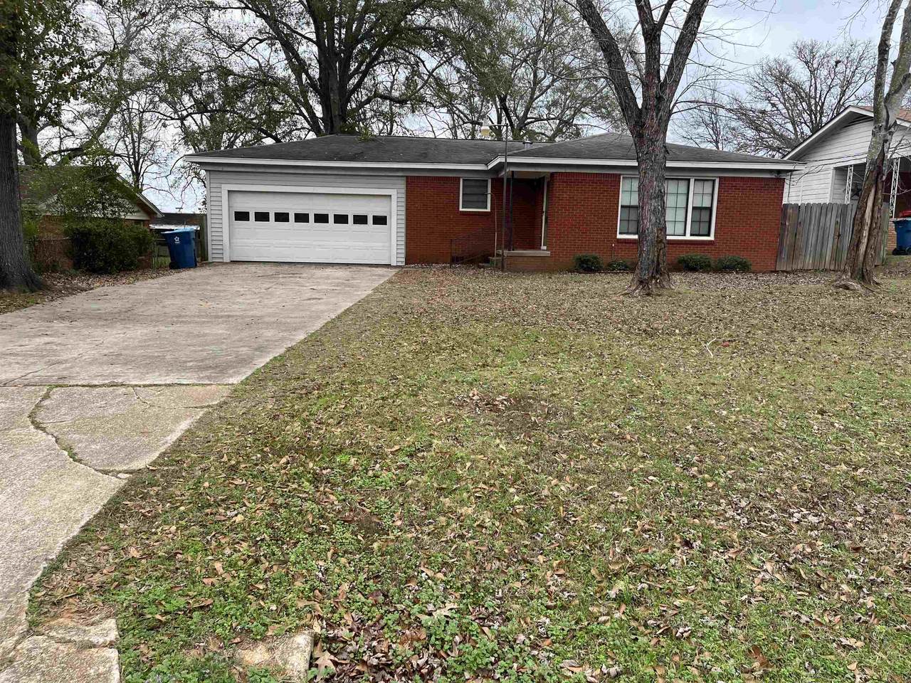 1111 Scenic Loop - Photo 1