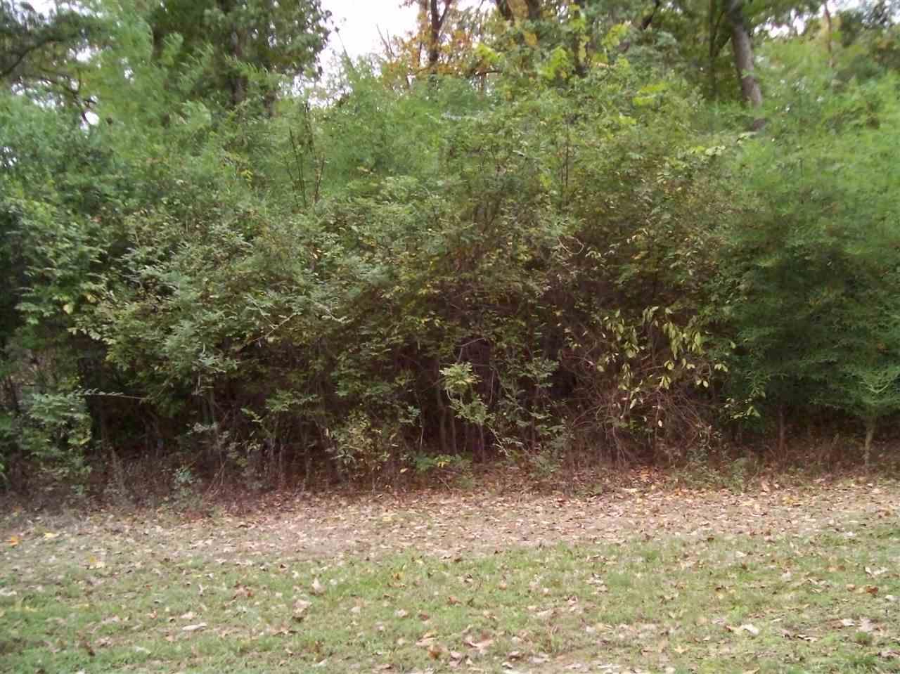 TBD Looney Ave - Photo 1