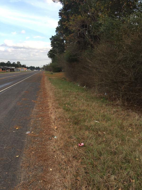 TBD Hwy 80 - Photo 1
