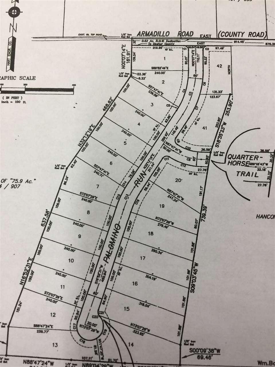 TBD Armadillo Road - Photo 1