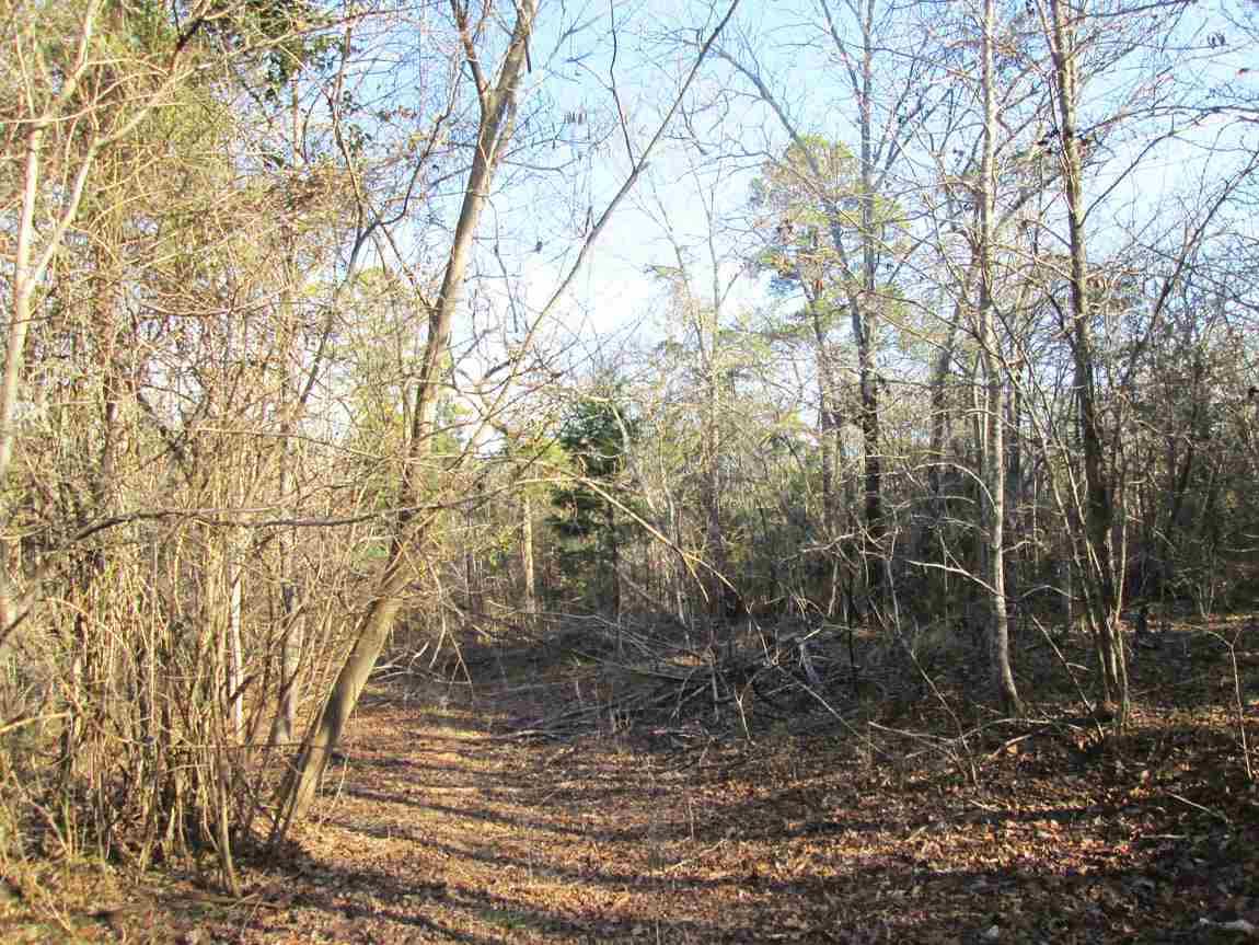 Tr 1 Willow Creek Ranch Rd - Photo 1
