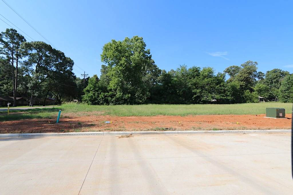 TBD Bucks Way - Photo 1