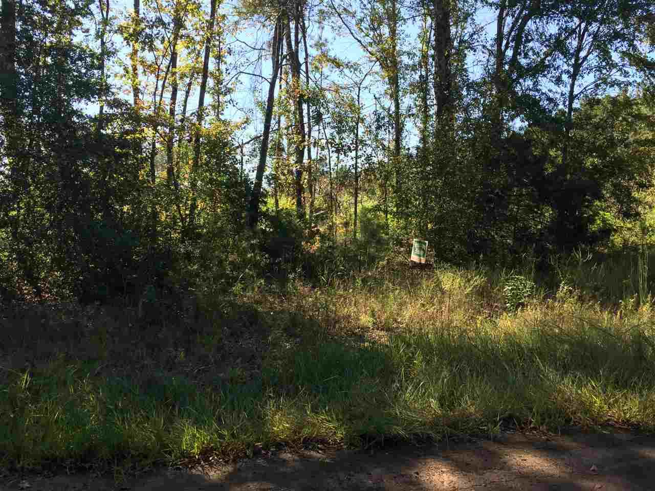 Aster Rd - Photo 1
