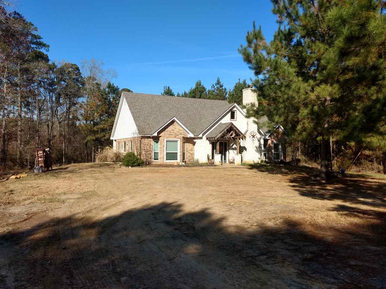 1433 County Road 425 - Photo 1