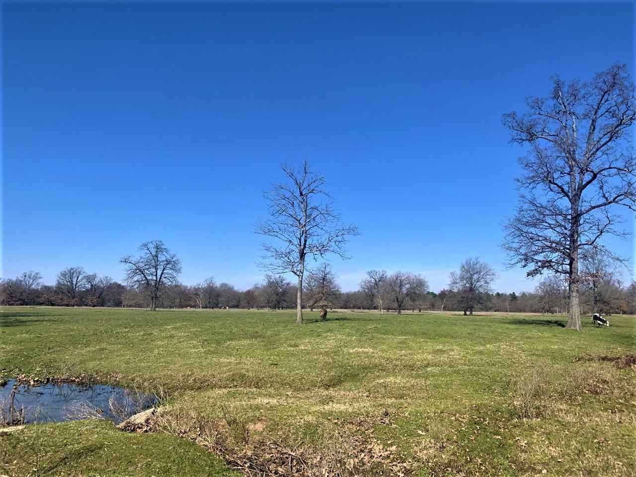 160 +/- ac Meadow Dr - Photo 1