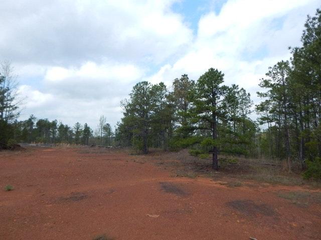 TBD 28 ACRES PERIWINKLE - Photo 1
