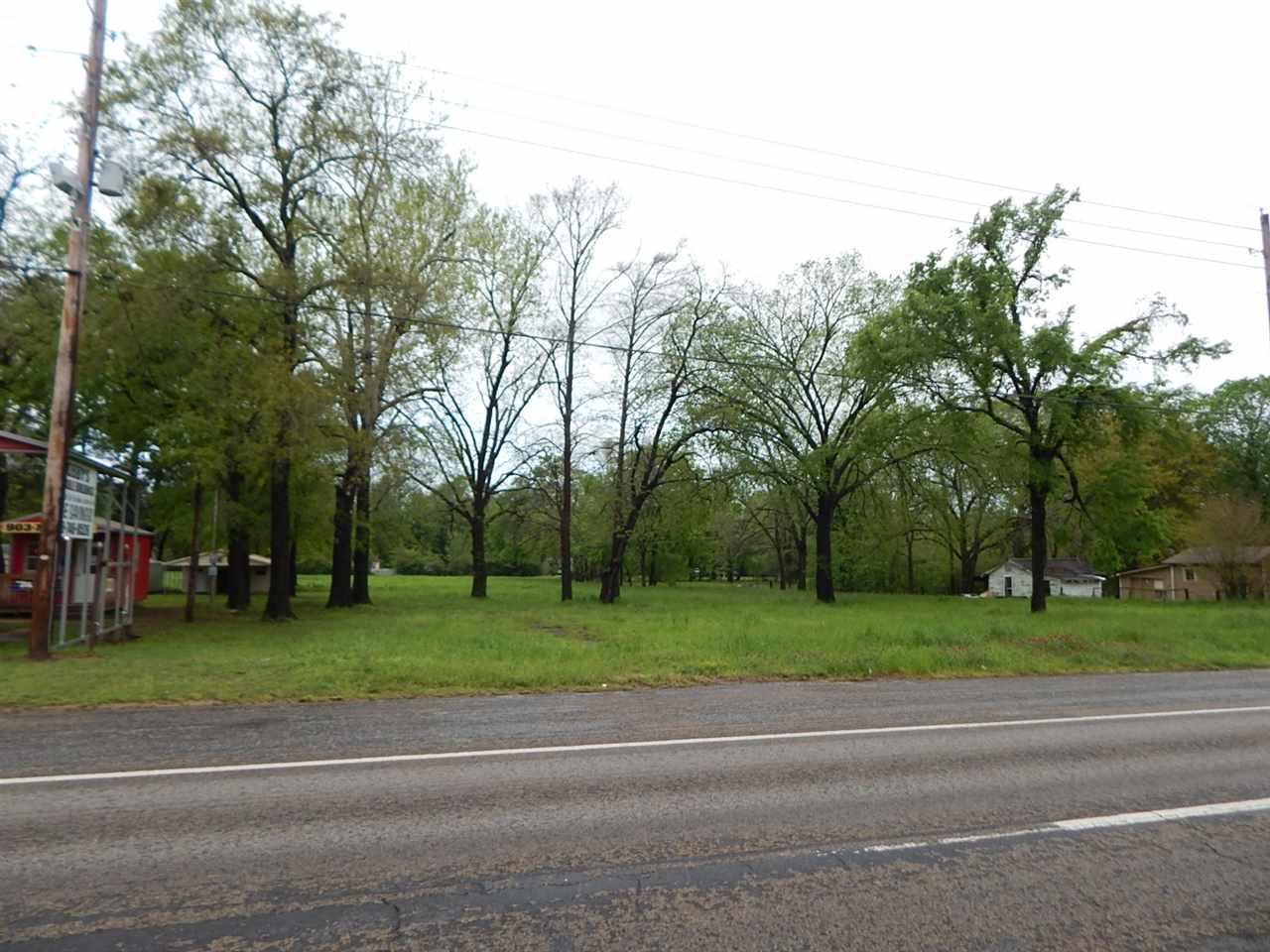 TBD .4205 Hwy 271 - Photo 1