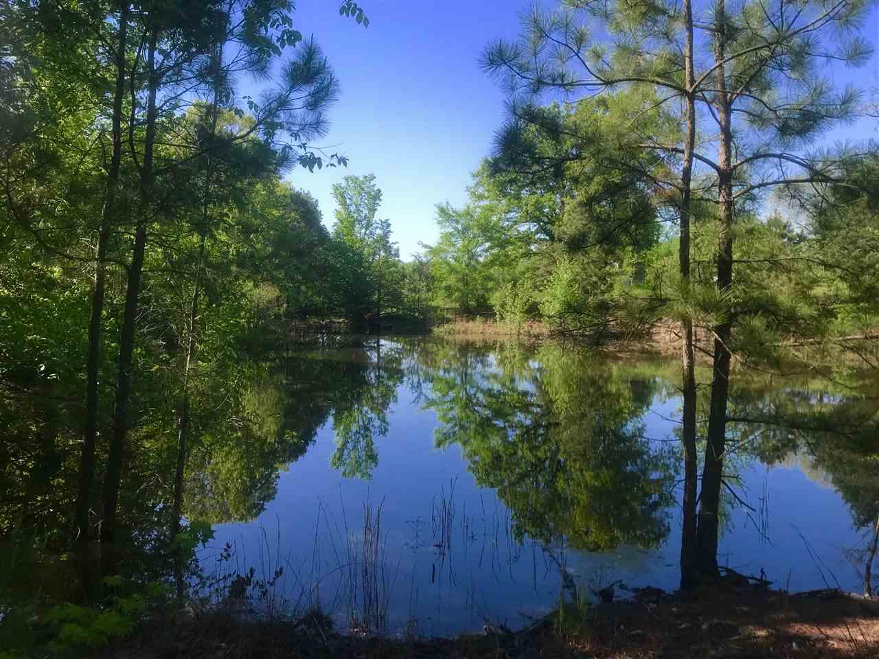 TBD U S Hwy 271 S - Photo 1