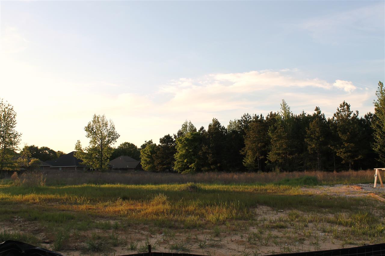 6705 Palisades - Photo 1