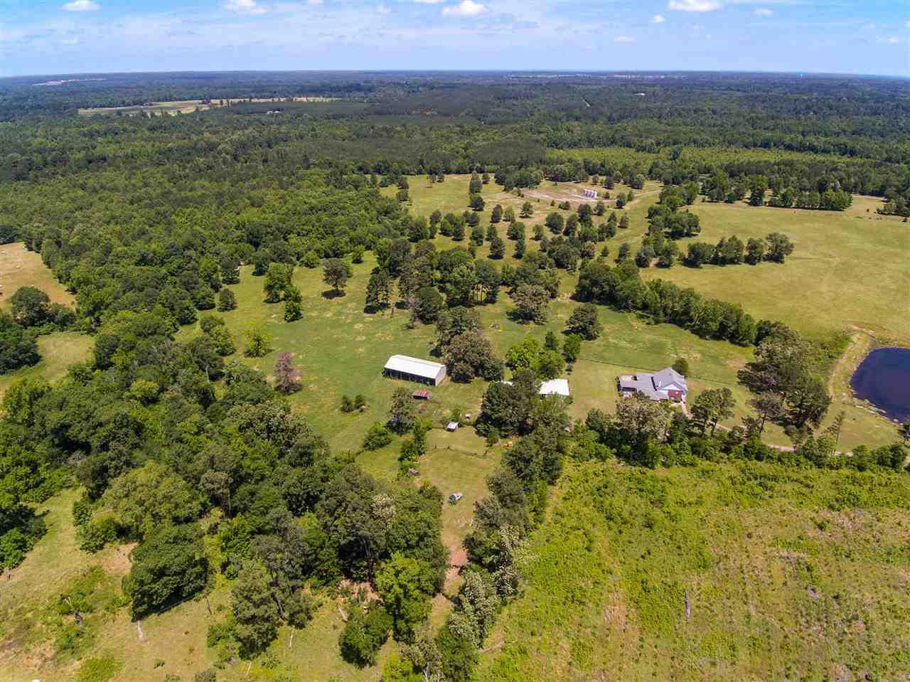 992 Bill Davis Road - Photo 1