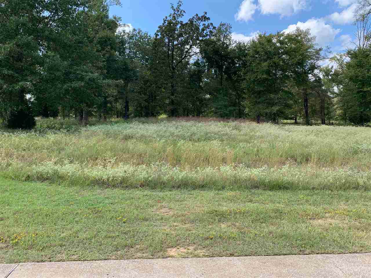 Lot 1 Stone Ridge Trail - Photo 1
