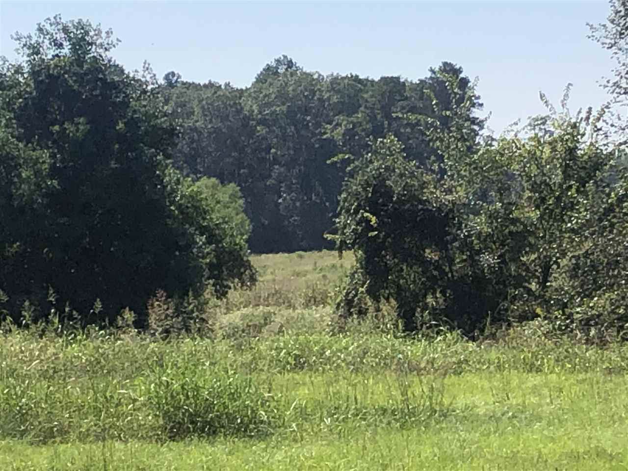 TBD Cox Rd - Photo 1