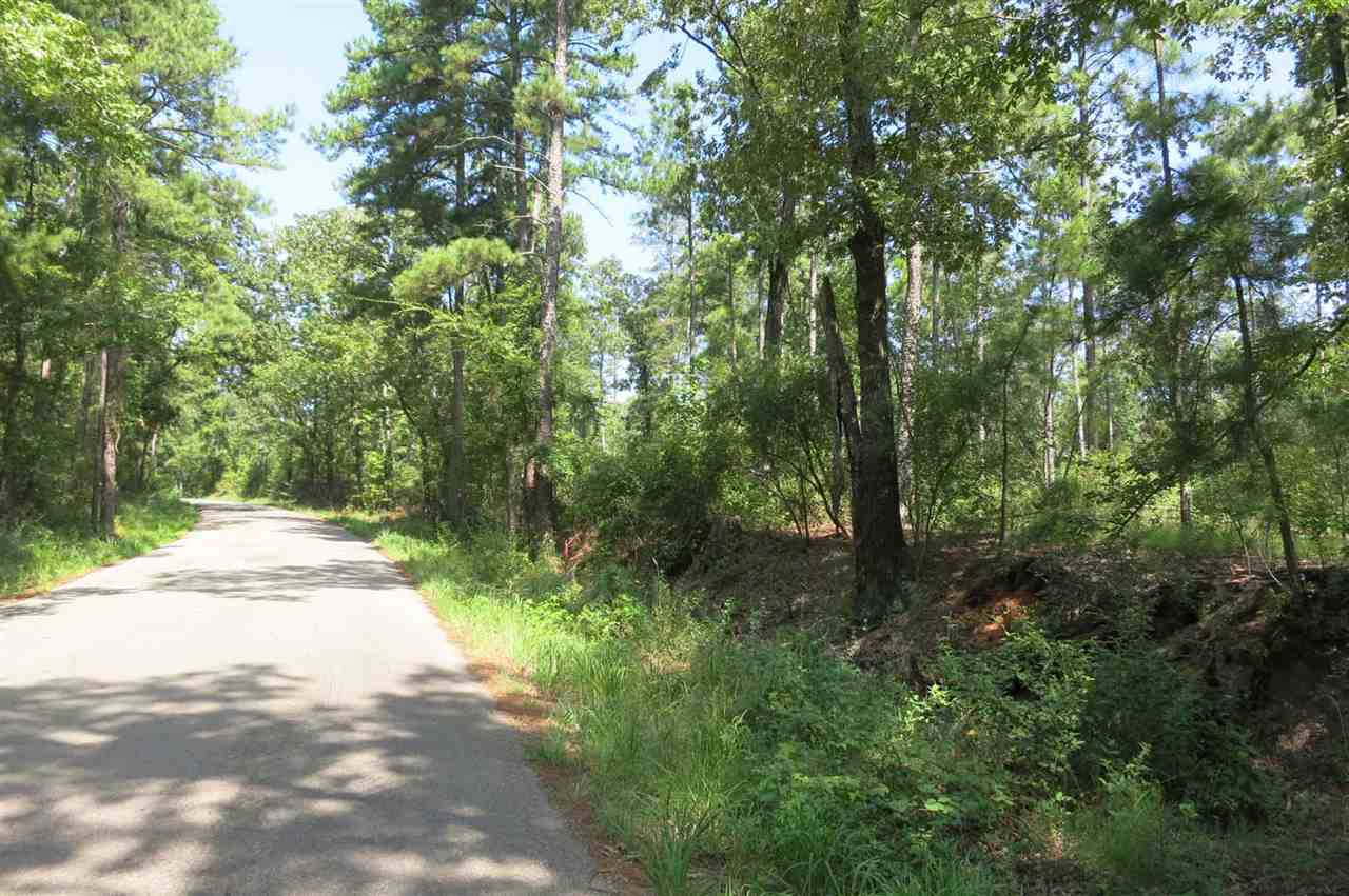 Lot 11 Cal Young Rd - Photo 1
