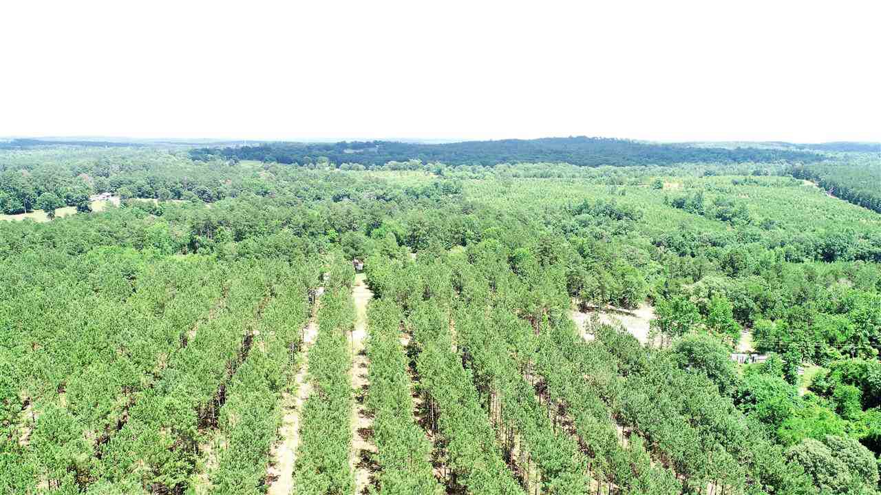 TBD Buckville Road - Photo 1