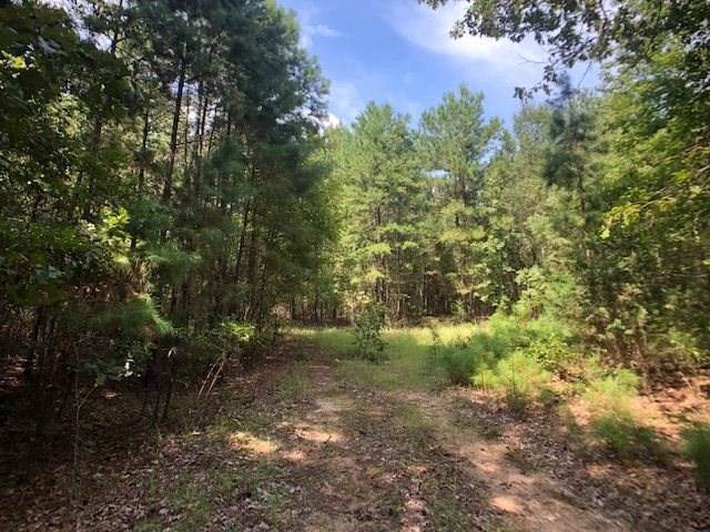 TBD Walkers Mill Rd - Photo 1