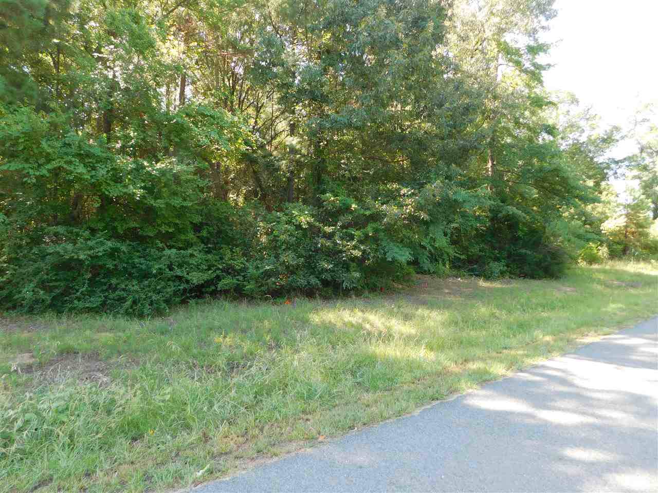 TBD Beavers Bend Rd - Photo 1