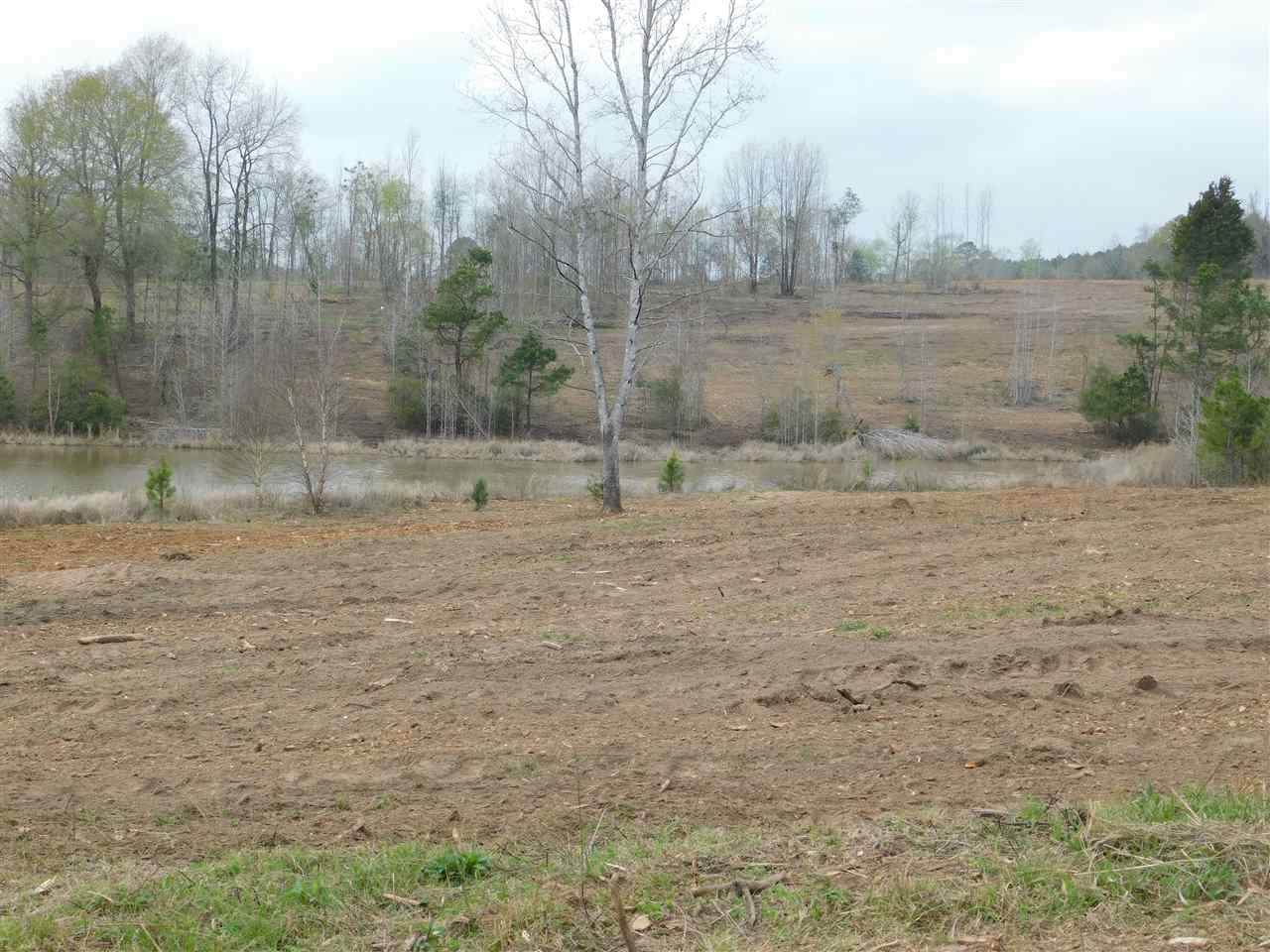 TBD Thyme Rd - Photo 1