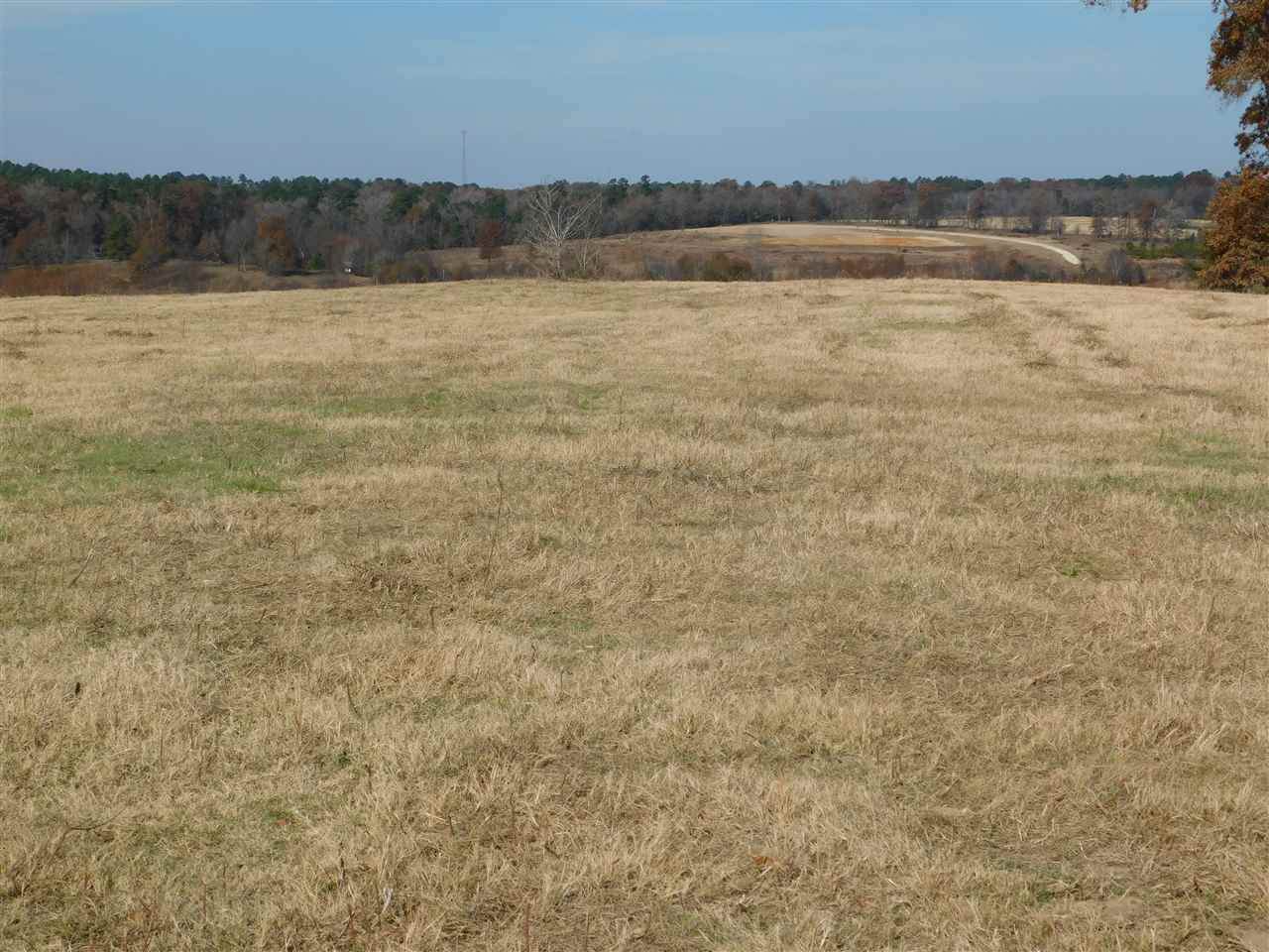 TBD George Richey Rd - Photo 1