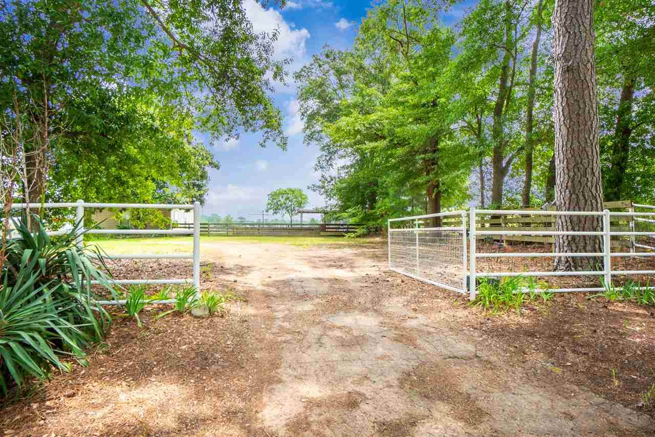 4258 Us Hwy 271 N - Photo 1