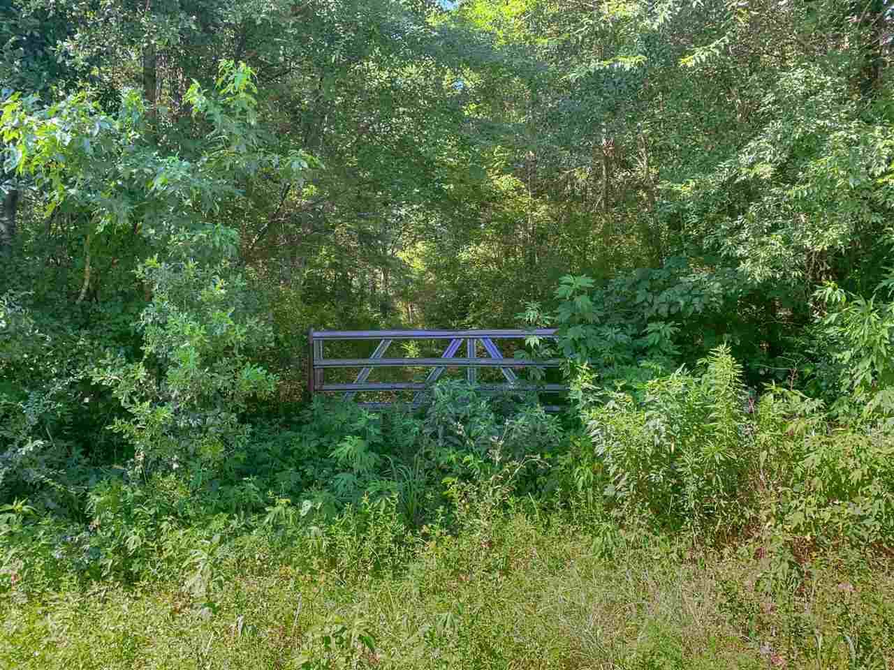 TBD Us Highway 80 E - Photo 1