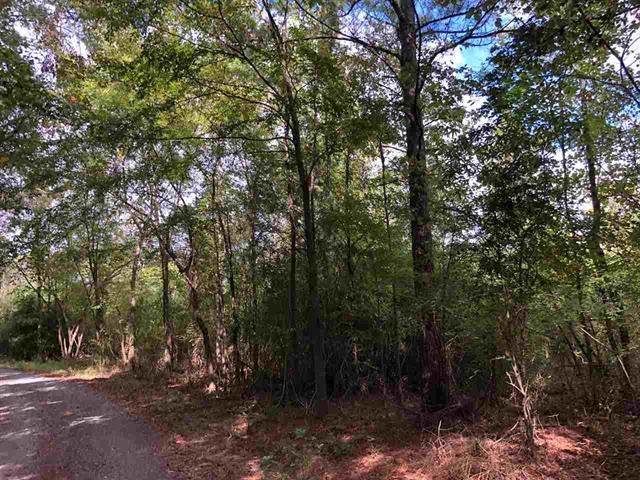 0 Blocker Rd - Photo 1