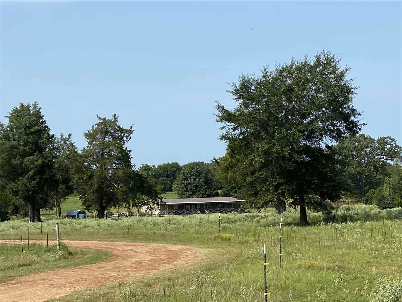 710 Crepe Myrtle - Photo 1