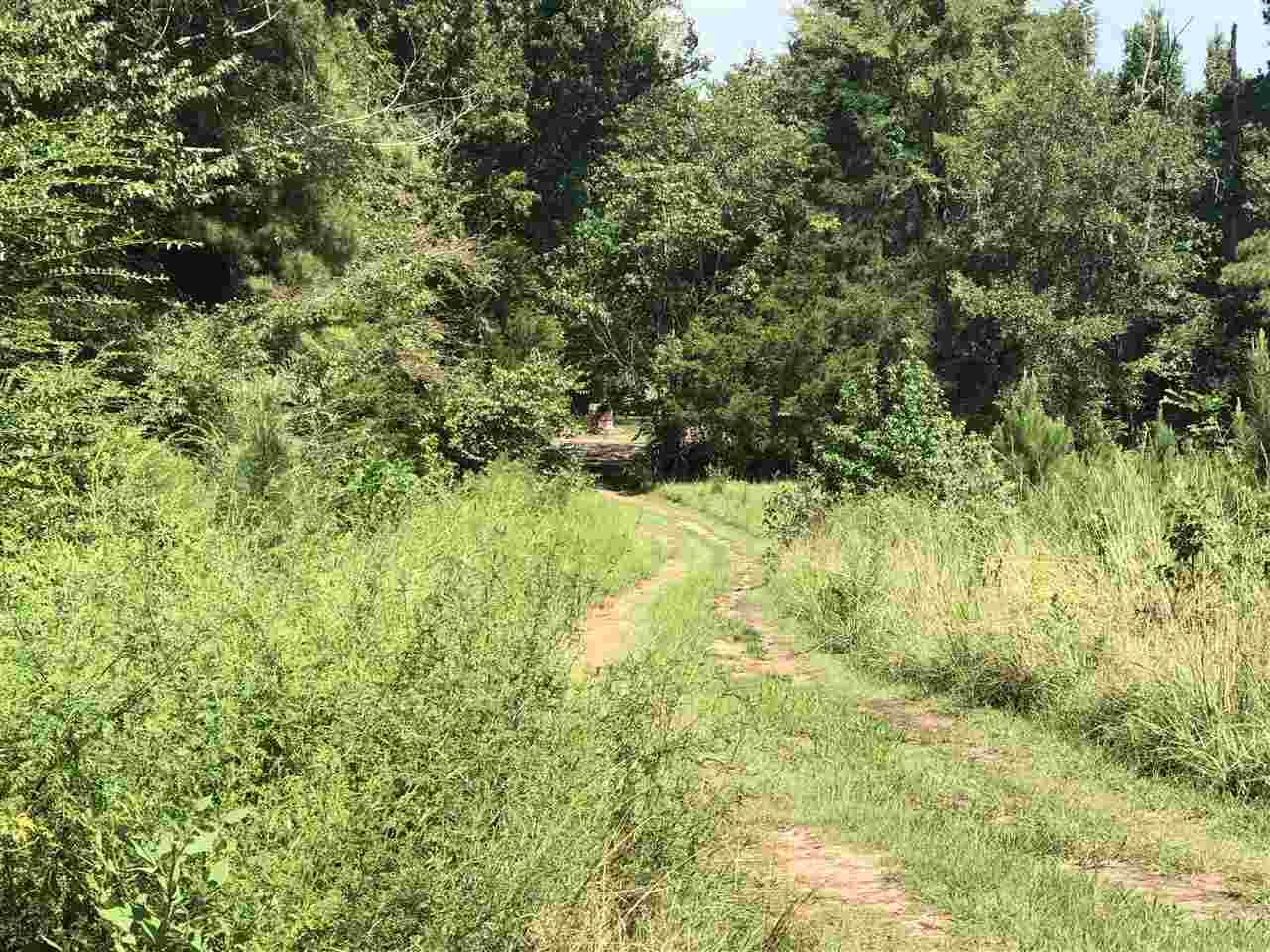 11594 Fm 1998 - Photo 1