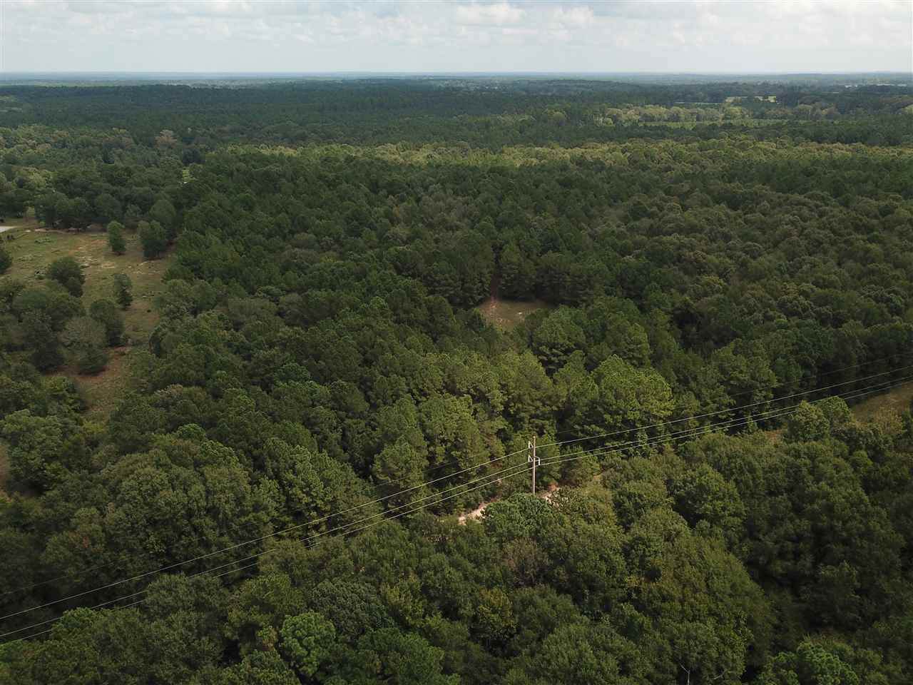 00 U.S. Hwy 59 - Photo 1