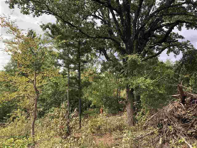 TBD Baker Bridge Rd - Photo 1
