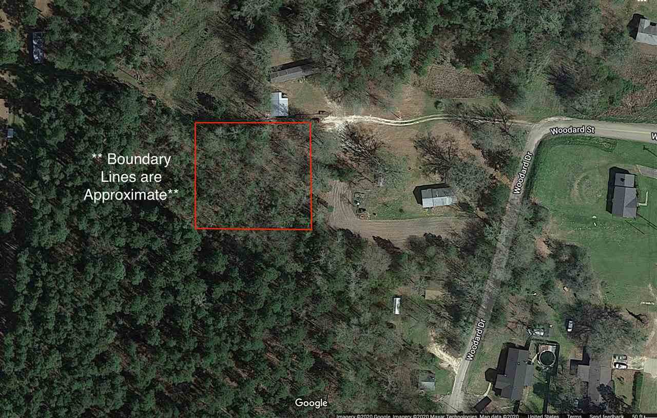 TBD Woodward Drive - Photo 1