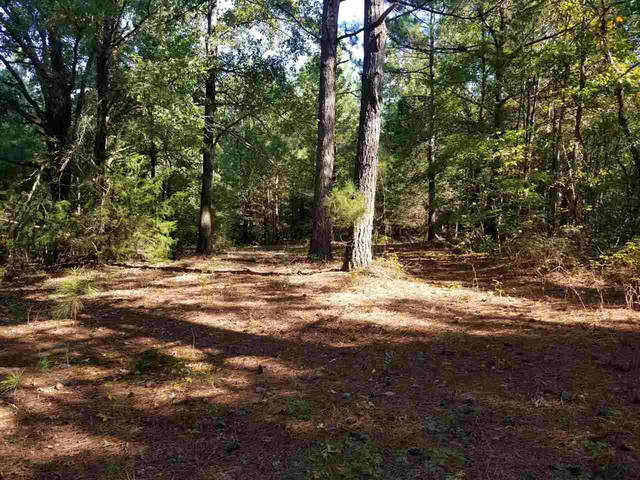TBD Honeysuckle Rd - Photo 1
