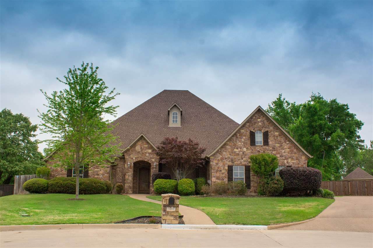 3904 Chase Creek - Photo 1