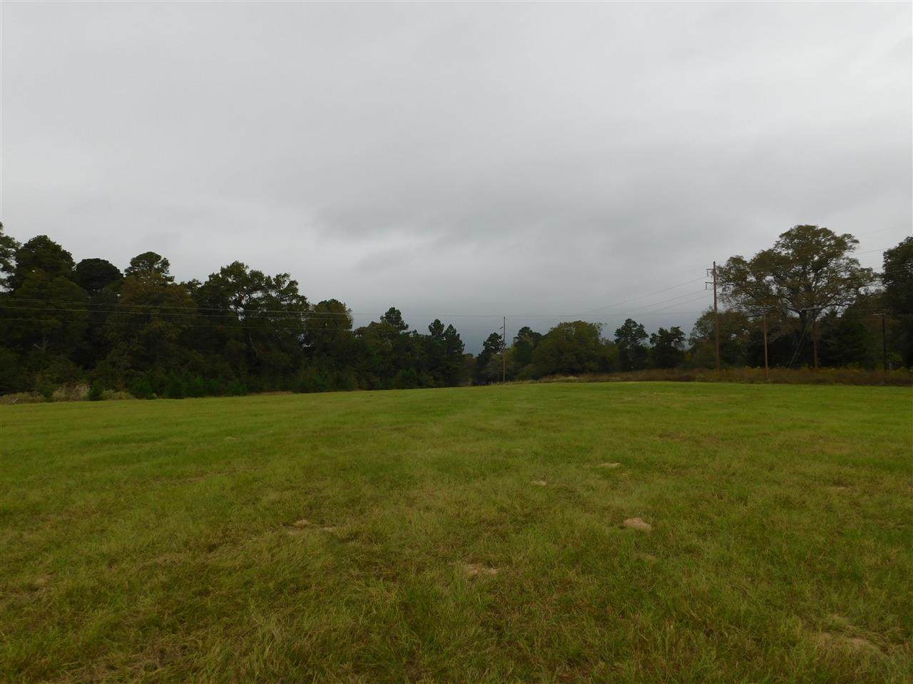 TBD Almond/White Oak Rd - Photo 1