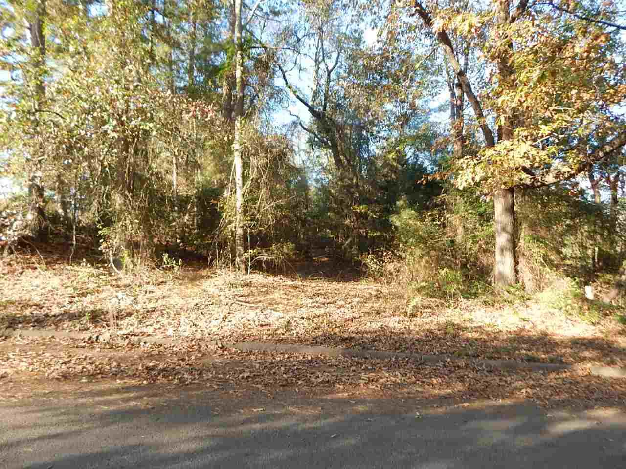 tbd lot 13 Pinecrest St. - Photo 1