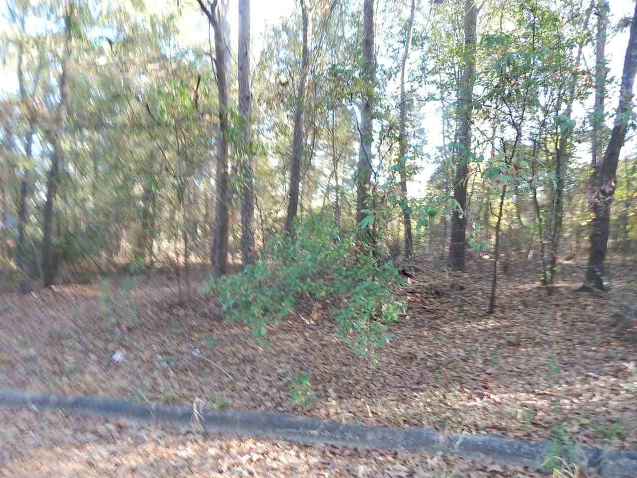 tbd lot 8 Pinecrest St. - Photo 1
