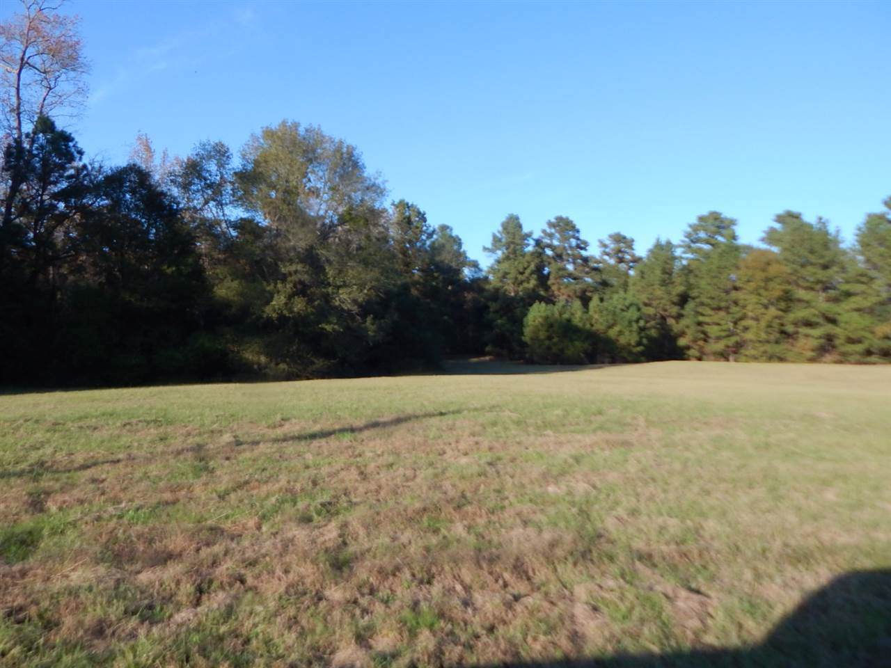 tbd 19.5 ACRES Woodway Lane - Photo 1