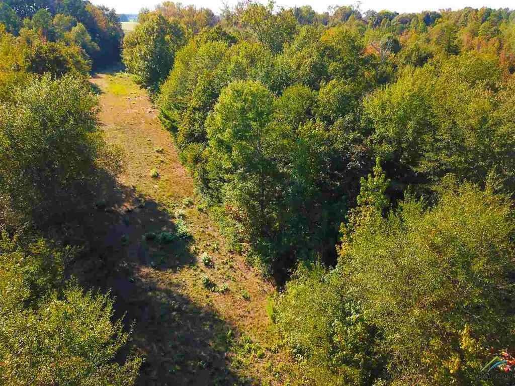 TBD Fm 2659 - Photo 1