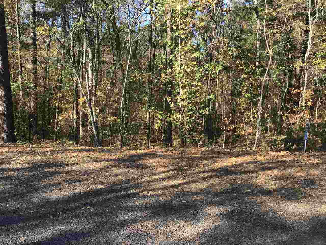 Lot 8 Byrd Circle - Photo 1