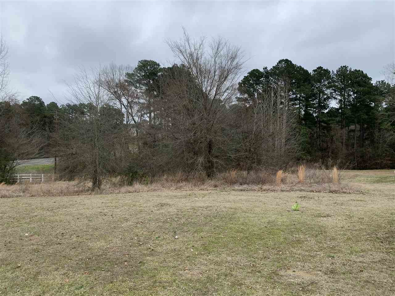 TBD Stonecrest - Photo 1