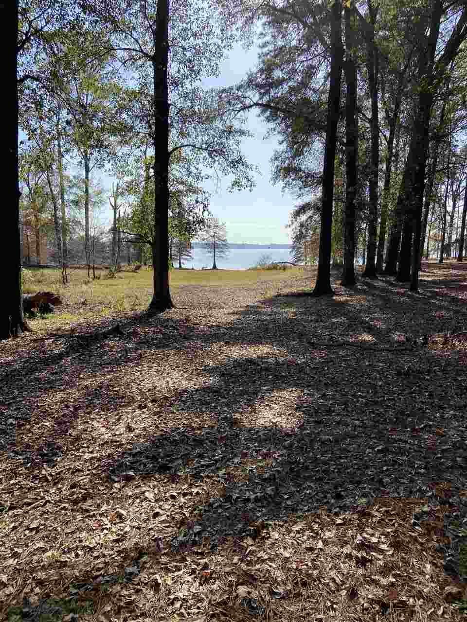 TBD Lock Mountain Rd. - Photo 1