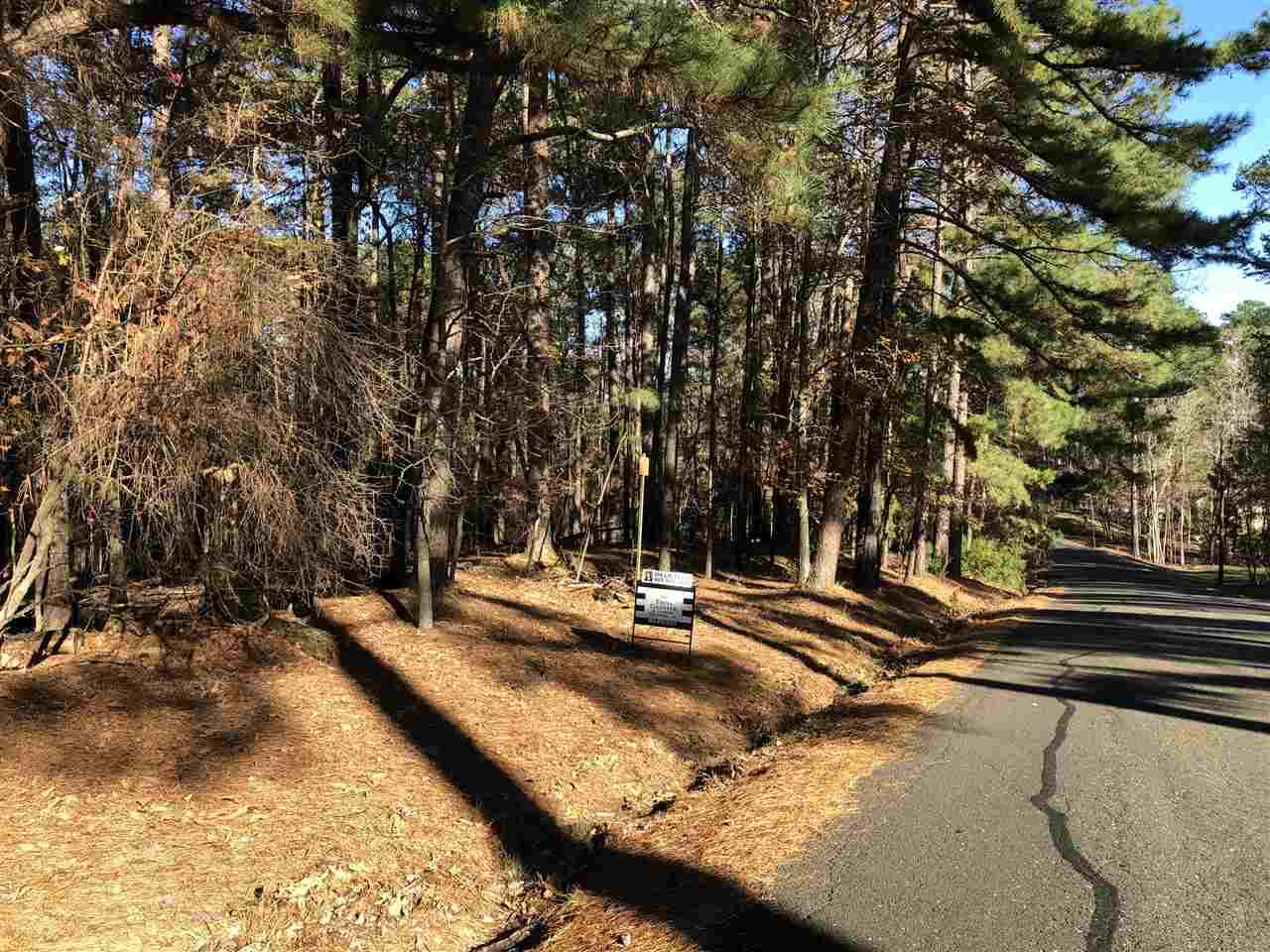 TBD Shadowood Dr - Photo 1