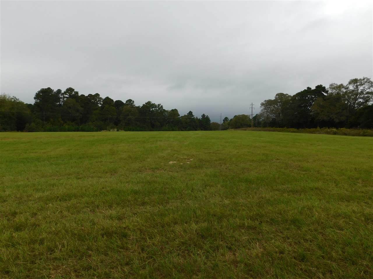 TBD Almond/White Oak Rd - Photo 1