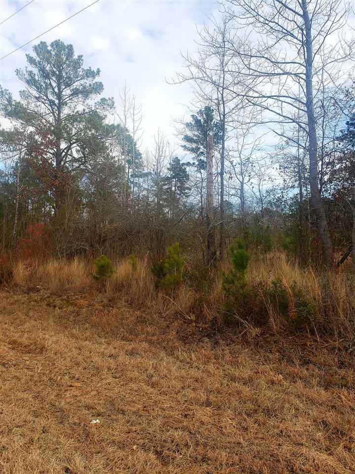 TBD Sam Hall Rd - Photo 1